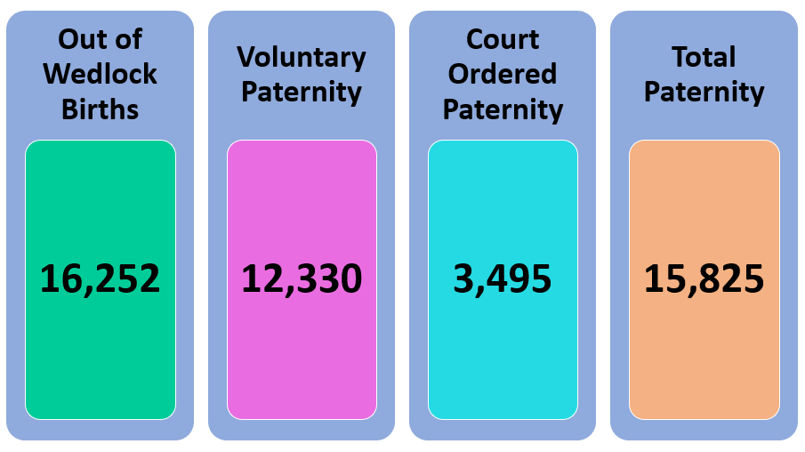 Image showing the types and number of paternity cases. Out of Wedlock Births: 16,252 Voluntary Paternity: 12,330 Court Ordered Paternity: 3,495 Total Paternity: 15,825
